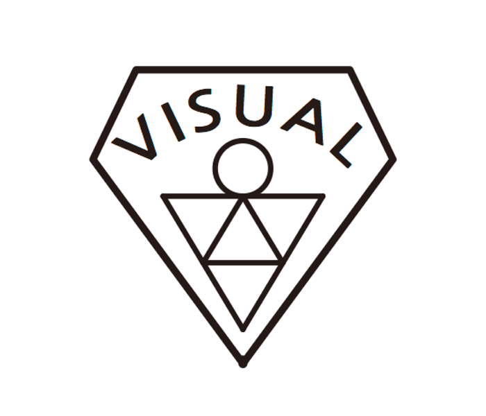 비주얼