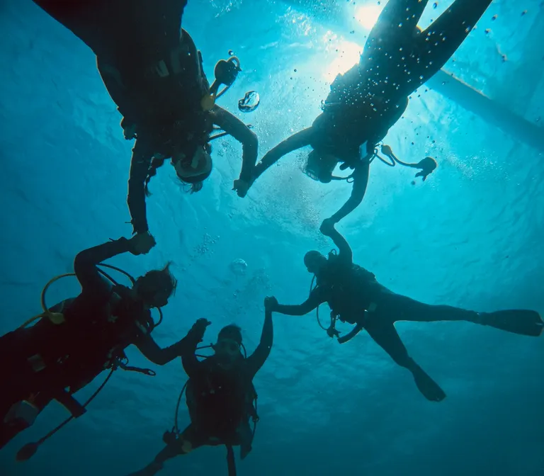 동아리 소개 사진