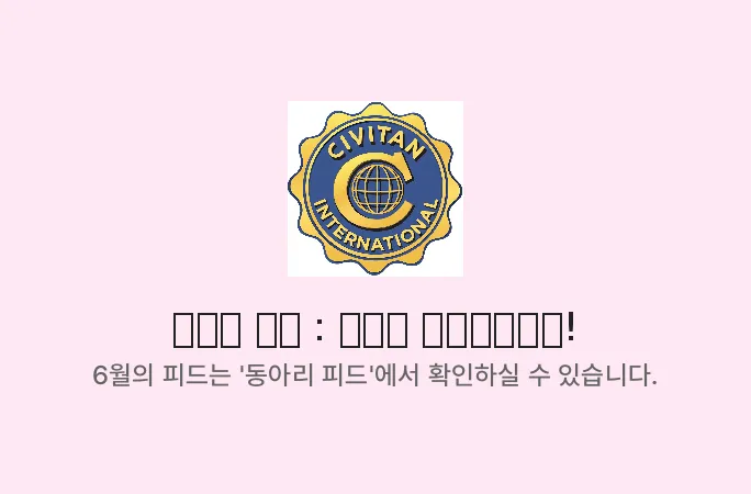 배너 26