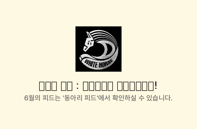배너 11