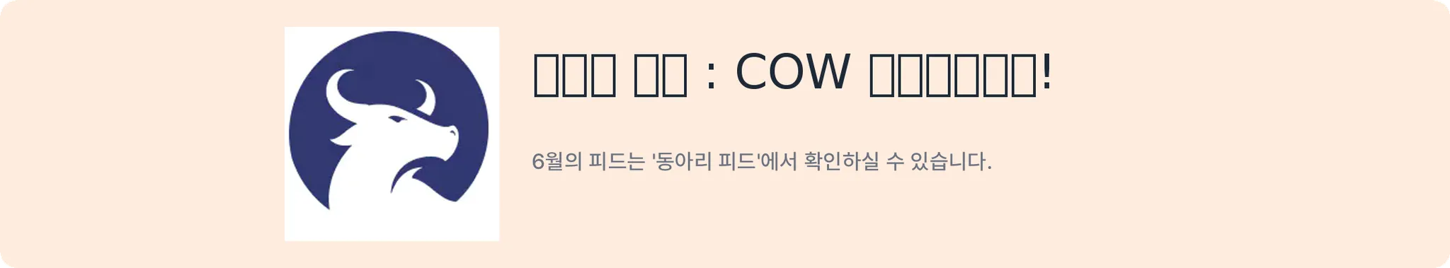 배너 2