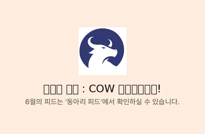 배너 2