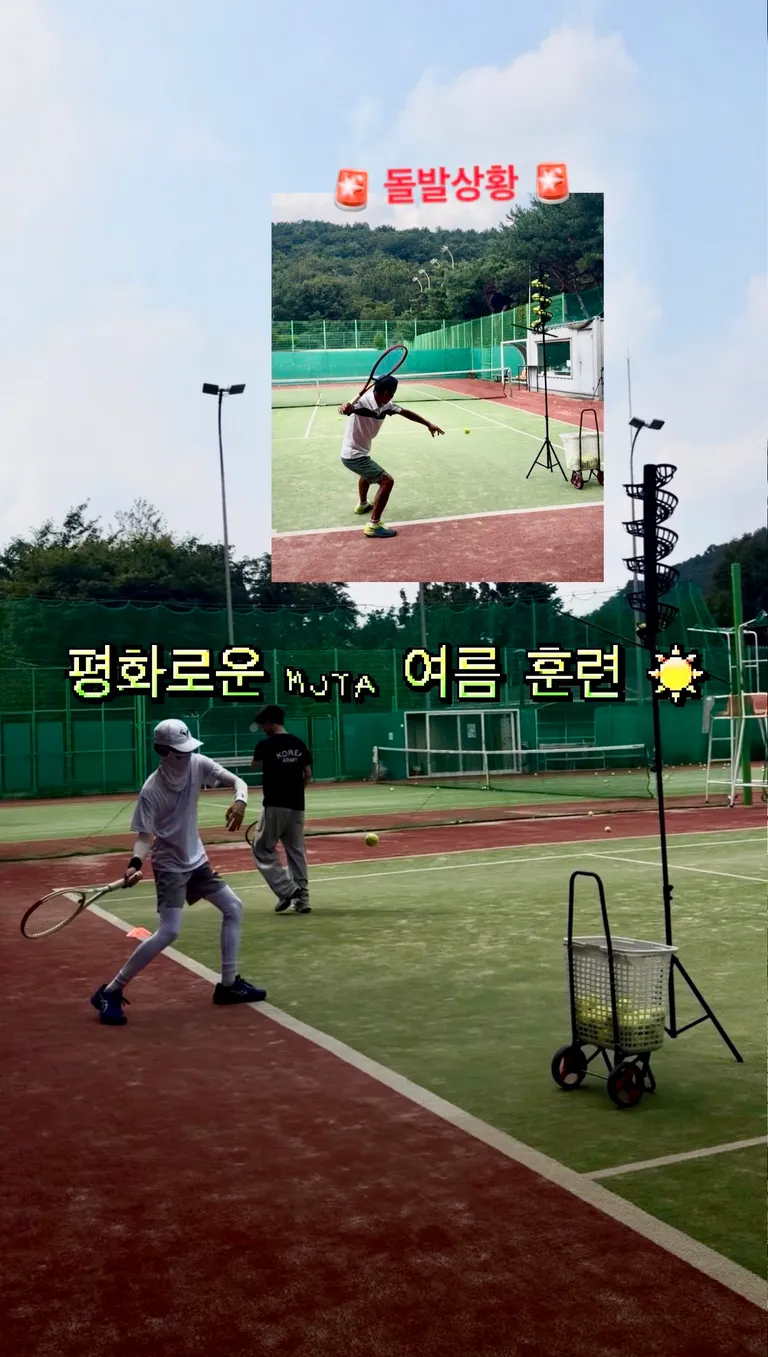 피드 246