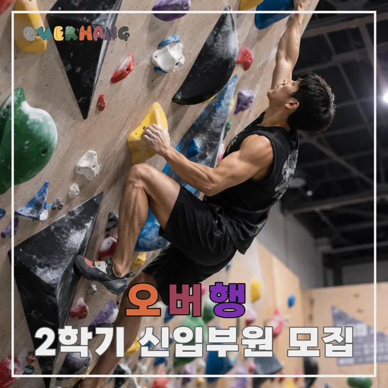 피드 255